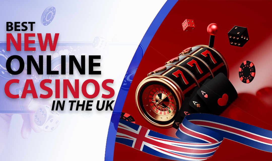 Experience the Thrill of Gaming at Casino WildRobin