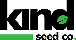 The Complete Guide to Buying and Growing Weed Plant Seeds The Complete Guide to Buying and Growing Weed Plant Seeds